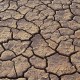 Projeto prevê restauração de áreas desertificadas no Brasil