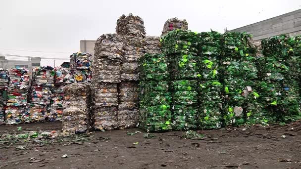 Trabalhando com o movimento Break Free From Plastic, o Greenpeace disse ter organizado 239 coletas de plástico em 42 países por todo o mundo, que resultaram na análise de 187 mil peças de lixo plástico.