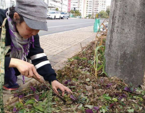 Curitiba libera cultivo de hortas nas calçadas e vai regulamentar a prática