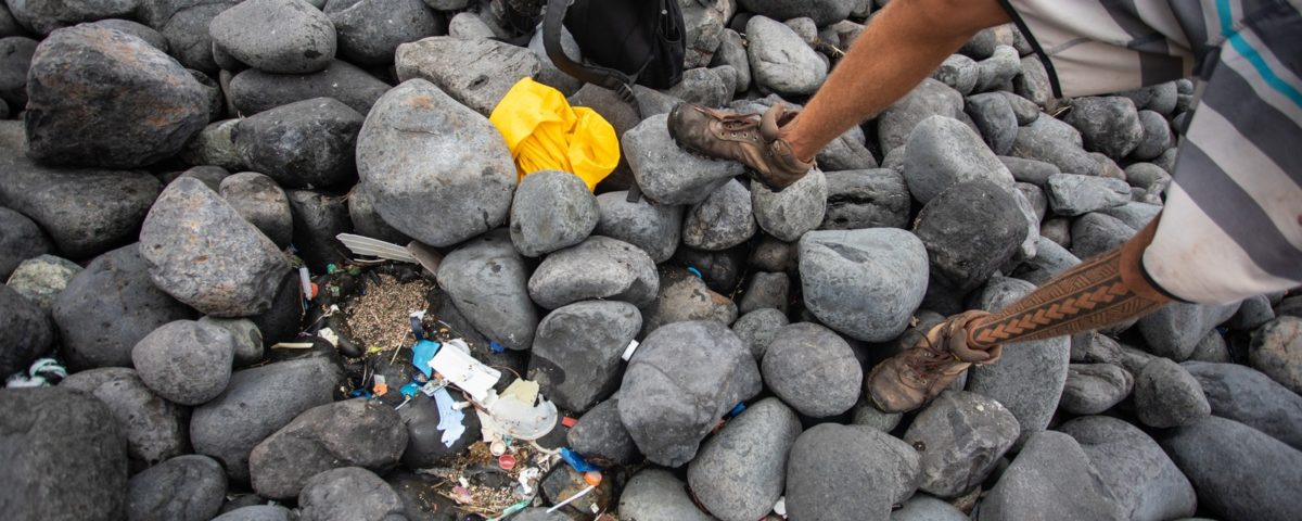 Relatório aponta mais impactos negativos do plástico no meio ambiente e na saúde humana